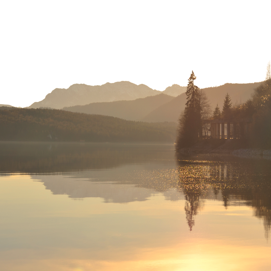 Starting your mental health journey with Holistic Mental Health Counseling Orlando.